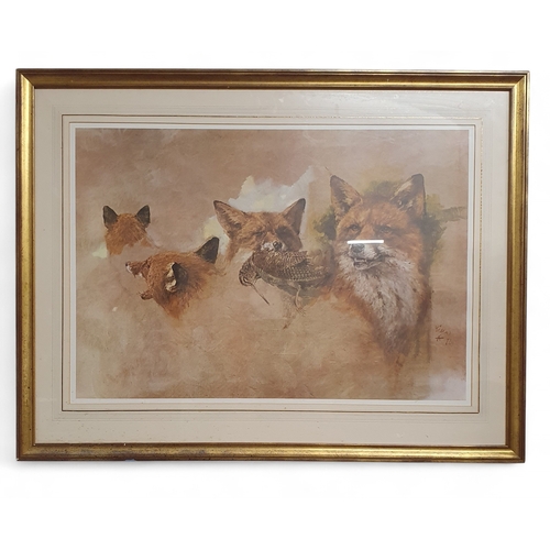 A large colour collage Print of Foxes.
H 78 x 103 cm approx.