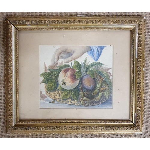 216 - An early 20th Century Watercolour Still Life of Fruit in a basket with hand. 15 x 17 cm approx.
