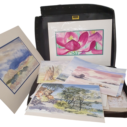 342 - A Folio after Hermione Nicholls of Watercolours and Prints.