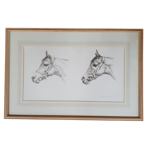 Lot 9         