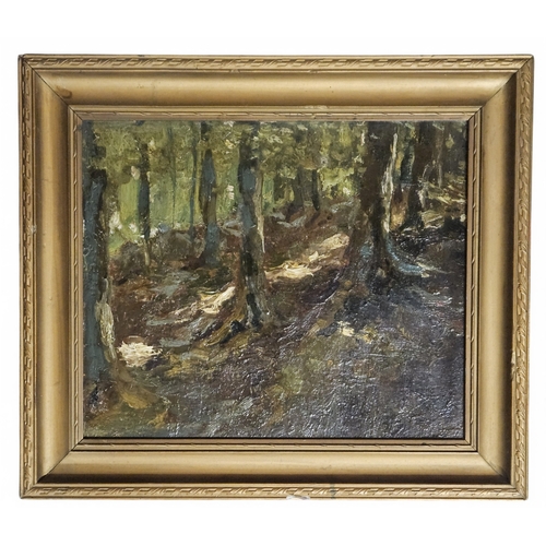 178 - An early 20th Century Oil On Board of a forest scene, no apparent signature. 24 x 29 cm approx.