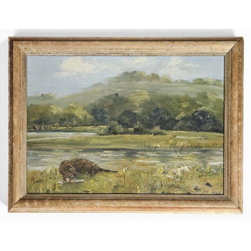 180 - An early 20th Century Oil On Canvas of a Beaver eating his catch, indistinctly signed LL. 25 x 35 cm... 