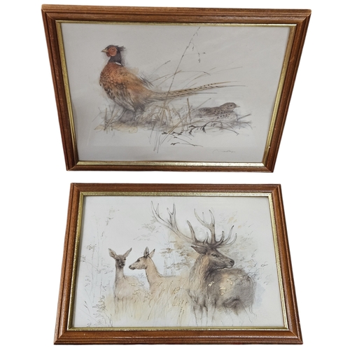 210 - A large quantity of colour Prints of Animals. 32 x 42 cm approx.