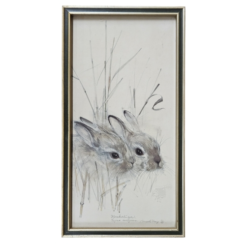 210 - A large quantity of colour Prints of Animals. 32 x 42 cm approx.