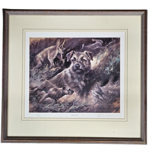 210 - A large quantity of colour Prints of Animals. 32 x 42 cm approx.