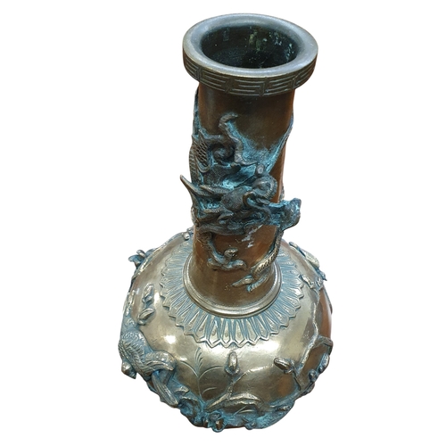 Lot 20        