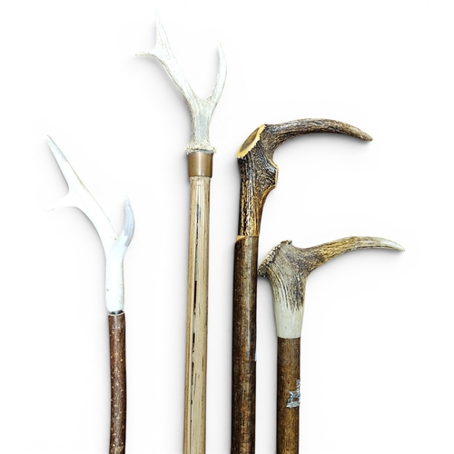 25 - A quantity of Shepherds Crooks.
TB 152 cm approx.
