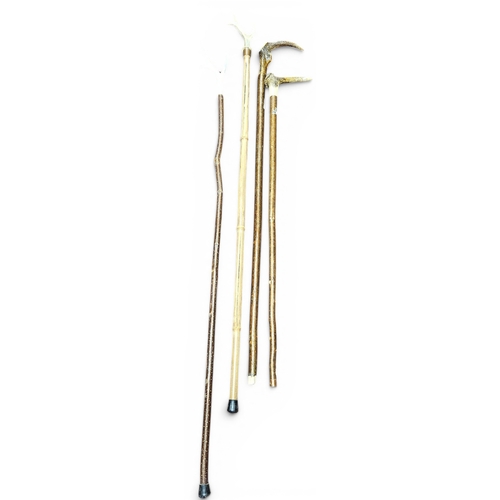25 - A quantity of Shepherds Crooks.
TB 152 cm approx.