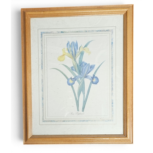 Lot 208       