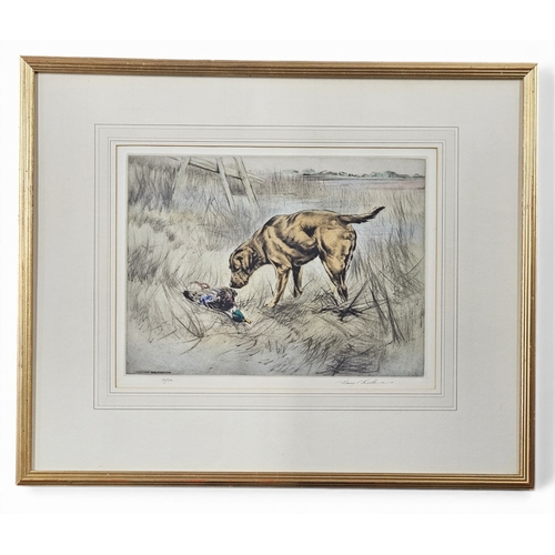 Lot 46        