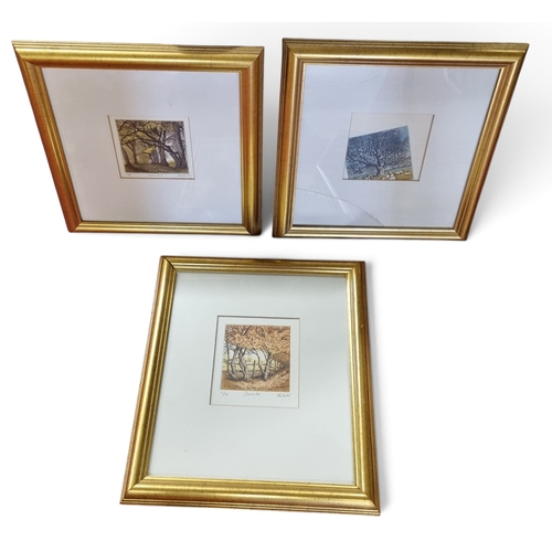 Lot 48        