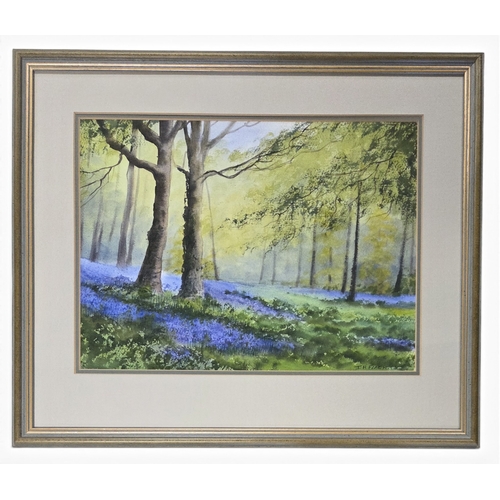 J H Flack. A Watercolour of a woodland scene of Bluebells. Signed LR and dated 1993. 28 x 37 cm approx.