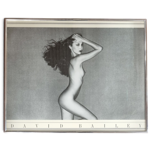 Lot 15        