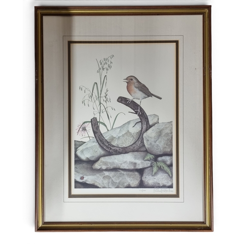 50 - After Michael Oxenham. A pair of limited edition coloured Prints of Birds, one being a Robin and the... 