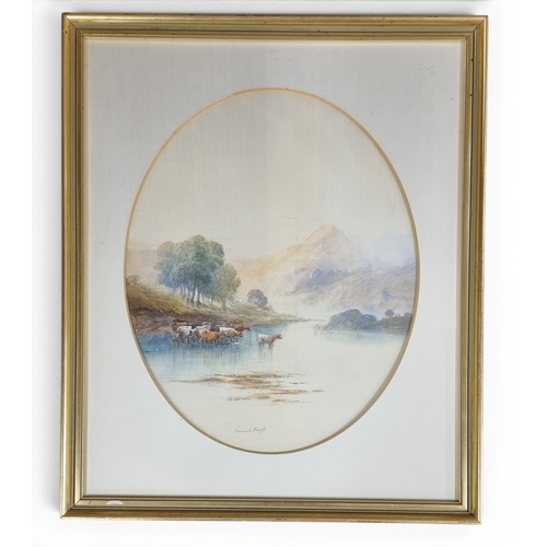 Lot 142       