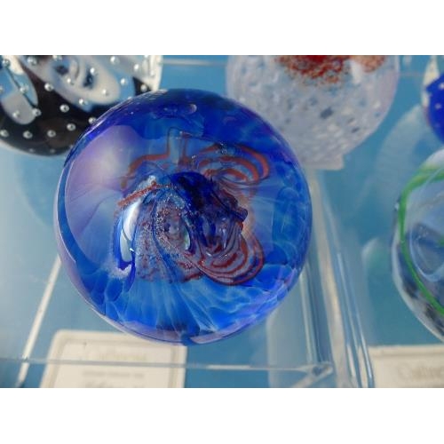 10 - Seven Caithness glass Paperweights, comprising Reflections '91, '93, '94 and '95 with certificates, ... 