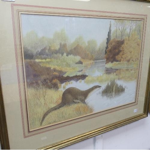 380A - Brian Carter (British, 20th century), Otters in river landscapes, a pair, pencil and crayon, 15in x ... 