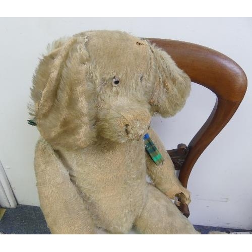 667 - An early 20thC straw-filled plush Teddy Bear, with pointed nose, hump and growler, play worn and in ... 