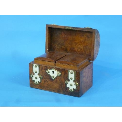 493 - A Victorian burr walnut domed Tea Caddy, with brass and bone mountings, the interior boxes both with... 