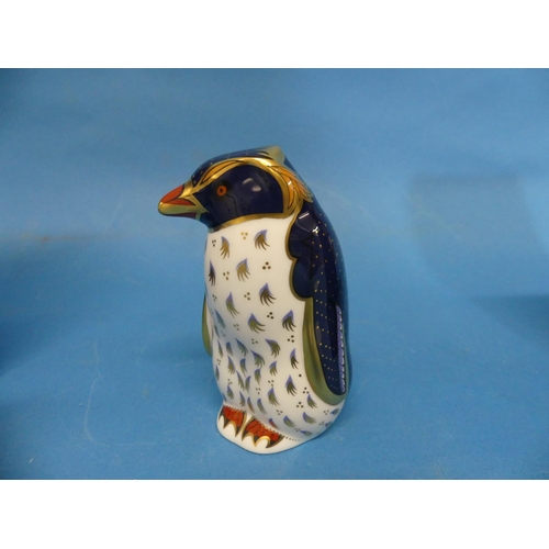 133 - A Royal Crown Derby Rockhopper Penguin Paperweight, finely decorated in Imari palette, with 21st  an... 