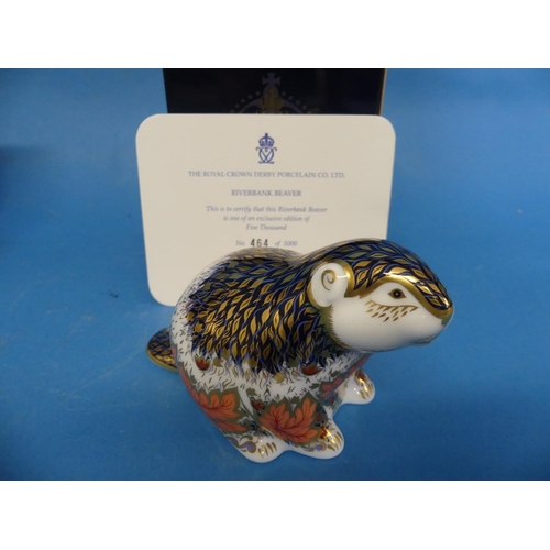 138 - A Royal Crown Derby 'Riverbank Beaver' Paperweight, the Limited Edition (464/5000) with 21st anniver... 