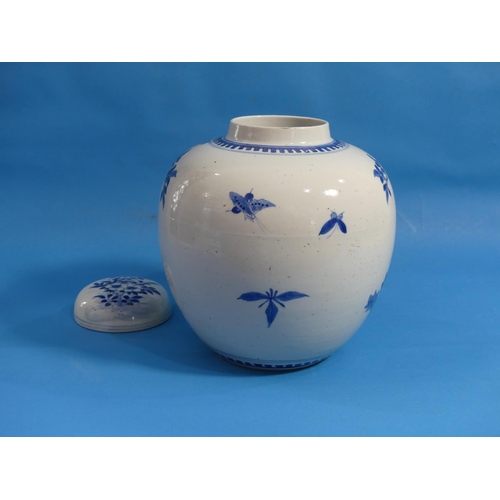 152 - A Chinese blue and white porcelain Ginger Jar and Cover, painted with bird, butterflies and chrysant... 