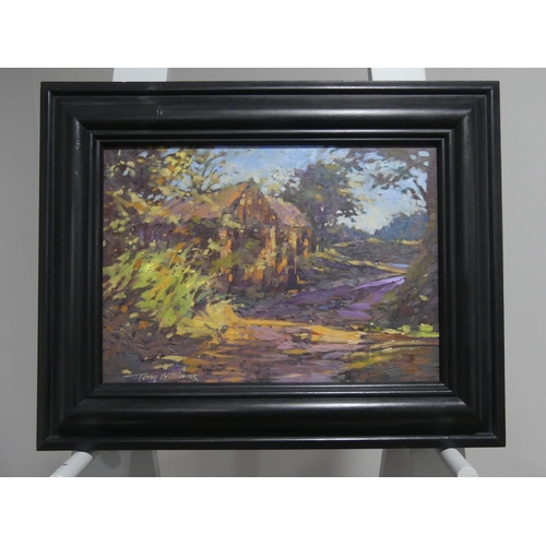 196 - Tony Williams (British, contemporary), Devon landscapes, a pair, oil on board, signed, 10in x 14in ... 
