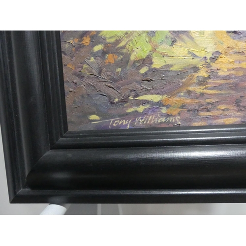 196 - Tony Williams (British, contemporary), Devon landscapes, a pair, oil on board, signed, 10in x 14in ... 