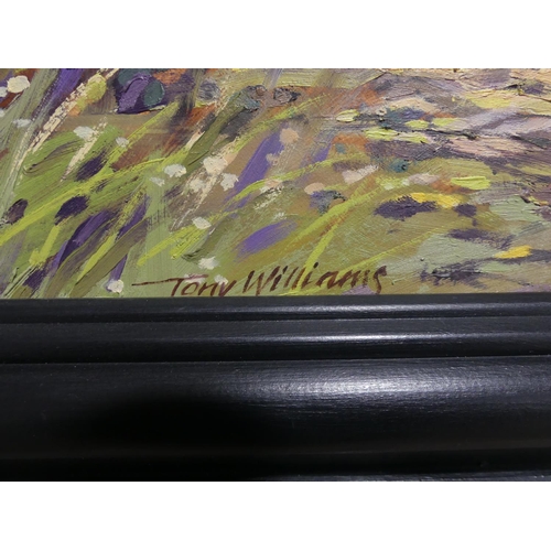 196 - Tony Williams (British, contemporary), Devon landscapes, a pair, oil on board, signed, 10in x 14in ... 