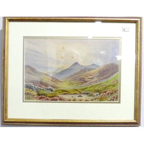 278 - W. H. Sweet (British, 20th century), Clovelly, watercolour, signed, 30cm x 15cm, framed, and The Gui... 