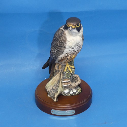 142 - A Royal Doulton limited edition model of a Peregrine Falcon, raised on fitted Plinth, 434/2500, fact... 