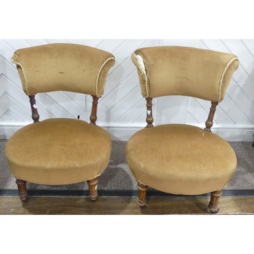 585 - A pair of Edwardian Parlour Chairs, upholstered in velvet, each chair W 55cm x H 73cm c D 50cm (2)... 