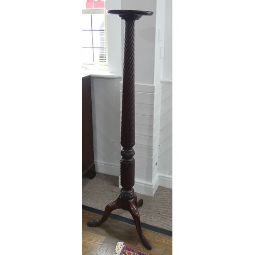 588 - A Victorian mahogany Torchere Plant Stand, a spiral twist column raised on tripod H 148cm.... 