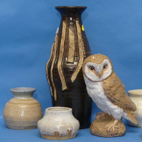 55 - A quantity of Studio Pottery, to include Squat Vase, lidded Urn, owl, Jug, etc, all by the same hand... 