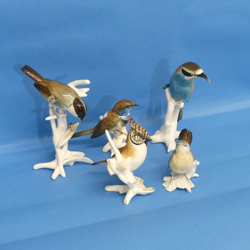 80 - A small quantity of Karl Ens porcelain Birds, to inlcude Lapwing, Green Woodpecker, etc (5)... 