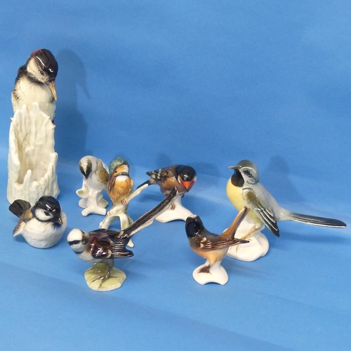 81 - A small quantity of Goebel porcelain Birds, to include Kingfisher, Blue Tit, Woodpecker, etc, one un... 