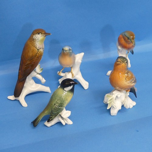 84 - A small quantity of Karl Ens porcelain Birds, to include Robin, Bullfinch, etc (5)