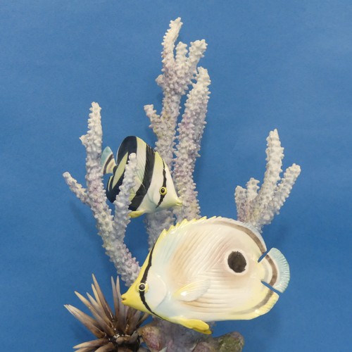 101 - A limited edition Royal Worcester porcelain model of a Four Eyed Butterfly Fish, designed by R.Van R... 