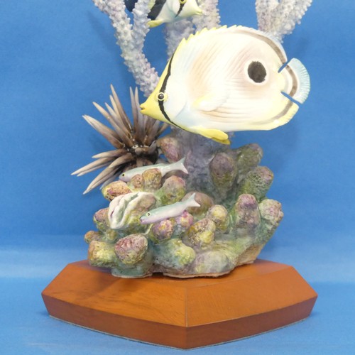 101 - A limited edition Royal Worcester porcelain model of a Four Eyed Butterfly Fish, designed by R.Van R... 