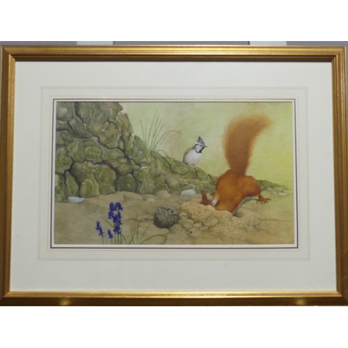 227 - Kenneth Norman Lilly (British, 1929-1996), two original watercolour illustrations from 'The Squirrel... 