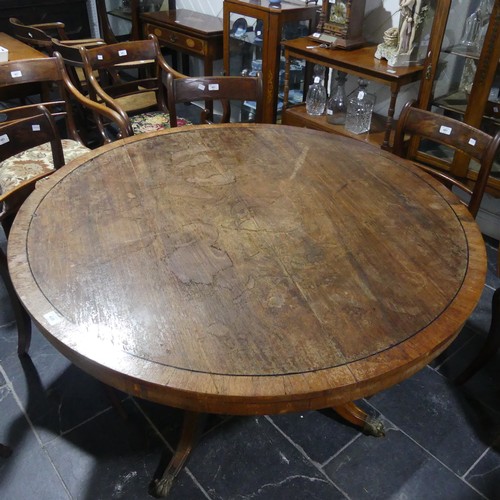 436 - An early 19thC rosewood circular tilt-top Breakfast Table, on brass-inlaid concave platform raised o... 