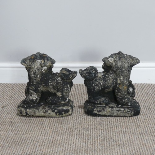 546 - Garden statuary; a pair of stone figures of Chinese Dogs of Foo, H 26cm (2)