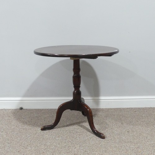 376 - A Georgian mahogany circular tripod Table, with turned column and swept feet, W 62cm x D 62cm x H 62... 