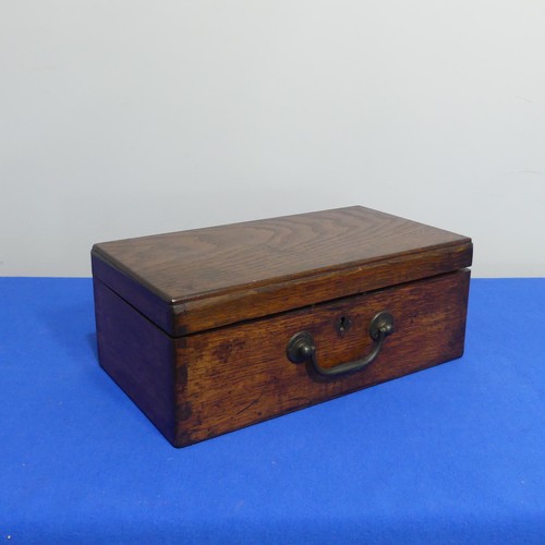 415 - An oak Chest with shell collection, the hinged lid opening to reveal five trays of shells, various s... 