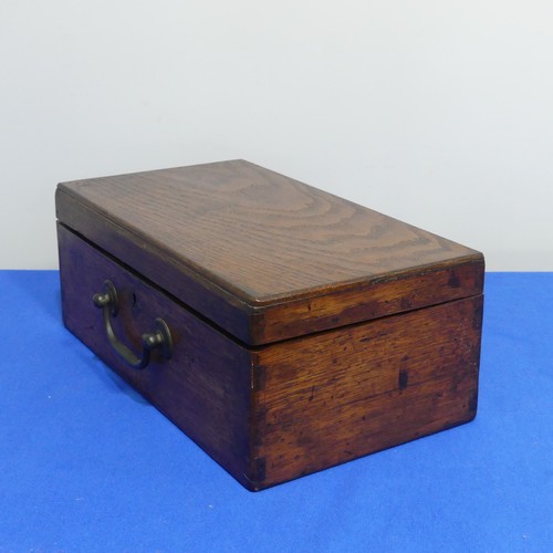 415 - An oak Chest with shell collection, the hinged lid opening to reveal five trays of shells, various s... 