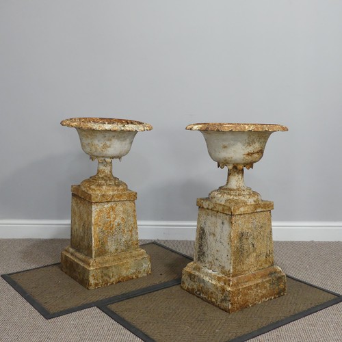 274 - A pair of antique cast iron Garden Urns and Stands, of fluted pedestal form with stiff leaf rim, eac... 