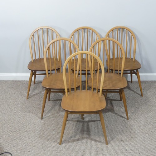 455 - A set of six vintage Ercol hoop back Dining Chairs, with upholstered cushions, stamped to the unders... 