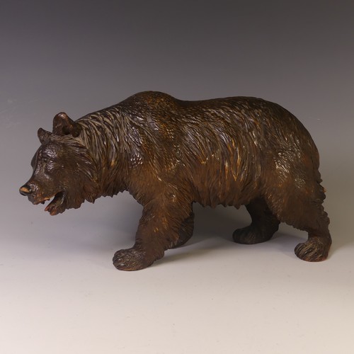 560 - An early 19thC Black Forest carved wooden Strolling Bear, naturistically carved with glass eyes, L 4... 