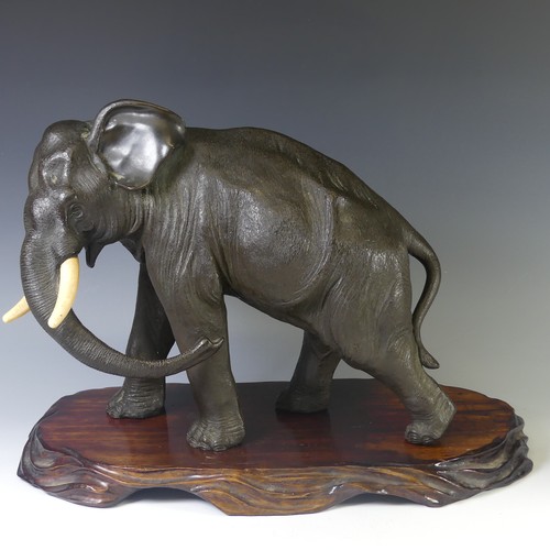 244 - A 19thC Japanese cast bronze figure of an Elephant, cast marching on four feet, head slightly turned... 