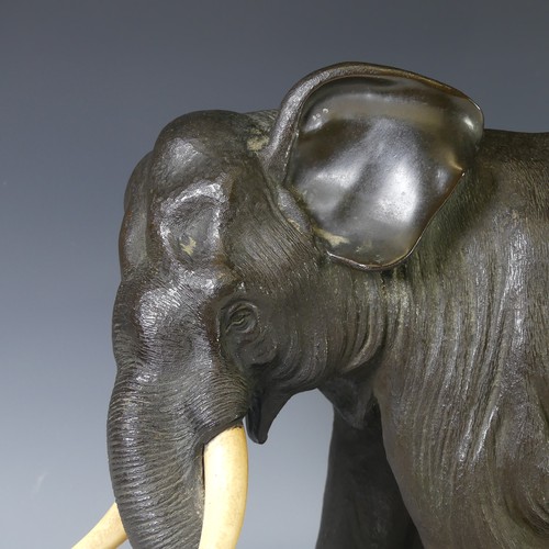 244 - A 19thC Japanese cast bronze figure of an Elephant, cast marching on four feet, head slightly turned... 